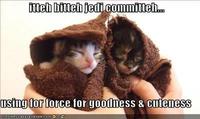 Itteh Bitteh Kitteh Committeh