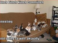 Itteh Bitteh Kitteh Committeh