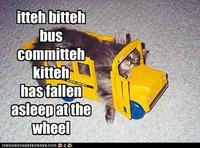 Itteh Bitteh Kitteh Committeh