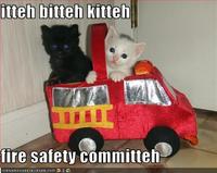 Itteh Bitteh Kitteh Committeh