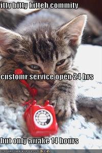 Itteh Bitteh Kitteh Committeh