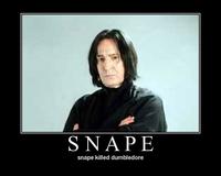 Snape Kills Dumbledore