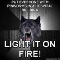 Insanity Wolf