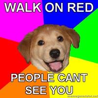 Advice Dog