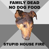 Depression Dog