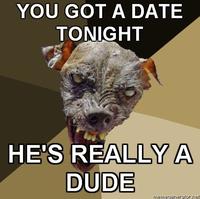 Cynical Dog