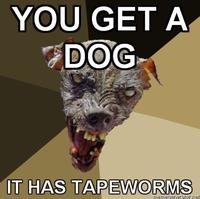Cynical Dog