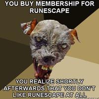 Cynical Dog