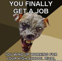 Cynical Dog