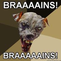Cynical Dog