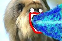 Shoop Da Whoop / I’M A’ FIRIN’ MAH LAZER!!