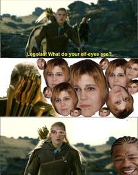 What do your elf eyes see?