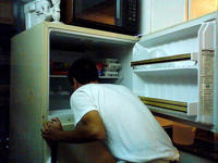 241543903 / Heads In Freezers
