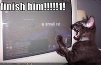 FINISH HIM! / FATALITY / Fake Fatalities