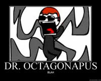 dr octagonapus