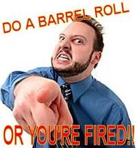 Do A Barrel Roll