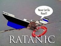 Sad Rat