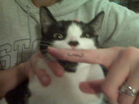 Fingerstache