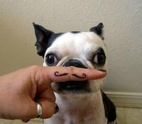 Fingerstache