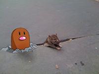 Sad Rat