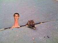 Sad Rat