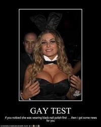 Gay Test