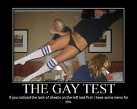 Gay Test