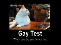 Gay Test