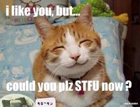 STFU