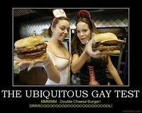 Gay Test