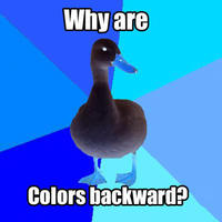 Technologically Impaired Duck