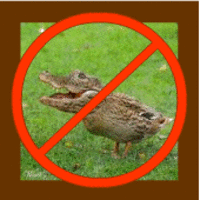 Crocoduck