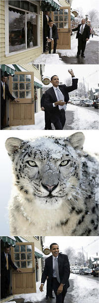 Obama Snowball