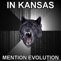 Insanity Wolf