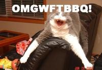 OMGWTFBBQ