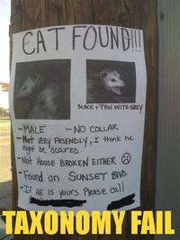 LOLcats