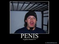 Penis Goes Where/Cock goes where