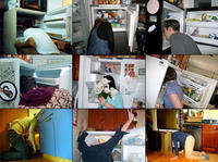 241543903 / Heads In Freezers