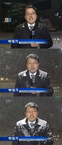 Dear Reporter Waiting Park