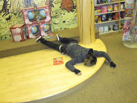 Playing Dead