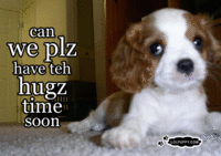 Is it can be hugs tiem now plees?
