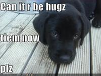 Is it can be hugs tiem now plees?
