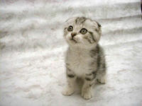 Is it can be hugs tiem now plees?