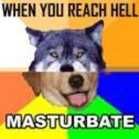 Combo Dog