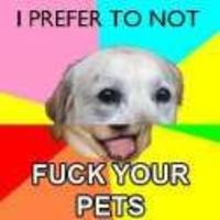 Combo Dog
