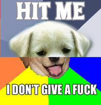 Combo Dog