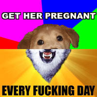 Combo Dog