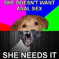 Combo Dog