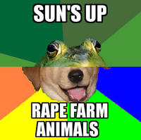 Combo Dog
