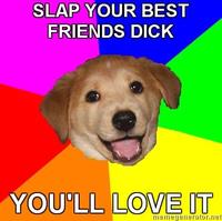 Advice Dog